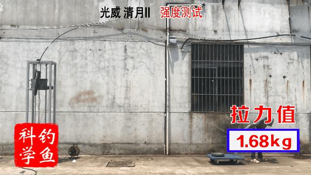 新一代鱼竿测评,早期鱼竿测评