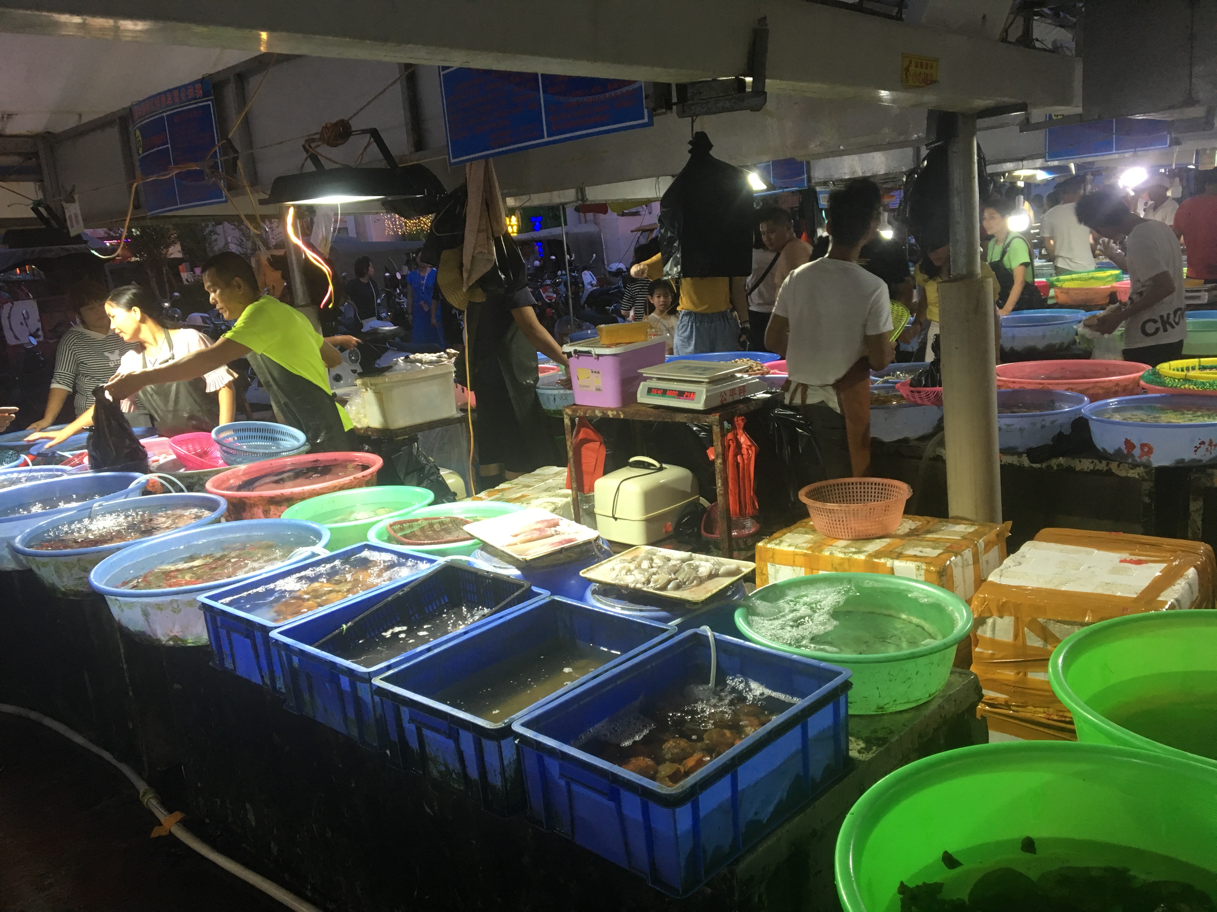 重庆桂林北海六日游,八月重庆自驾广西8日游