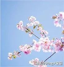 湿疹皮肤干燥能涂什么护肤品,湿疹干皮能不能抹保湿霜