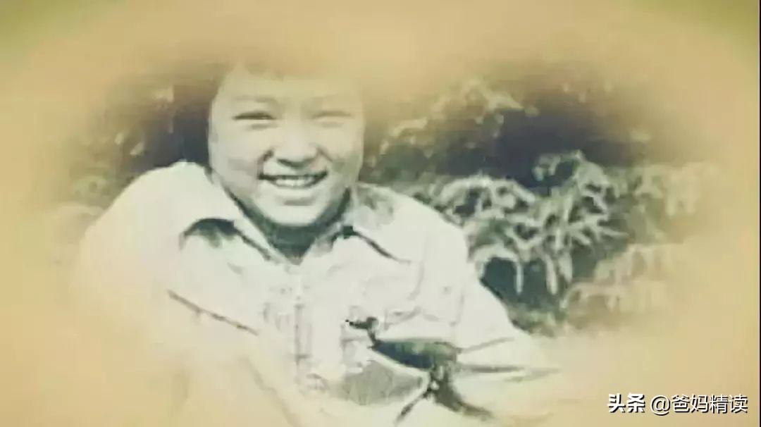 董卿从开始到结束春晚回顾,董卿退出央视后现在做什么呢