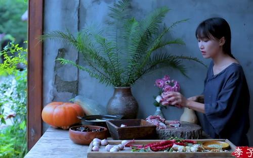 李子柒乡村振兴大使,李子柒乡村文化振兴