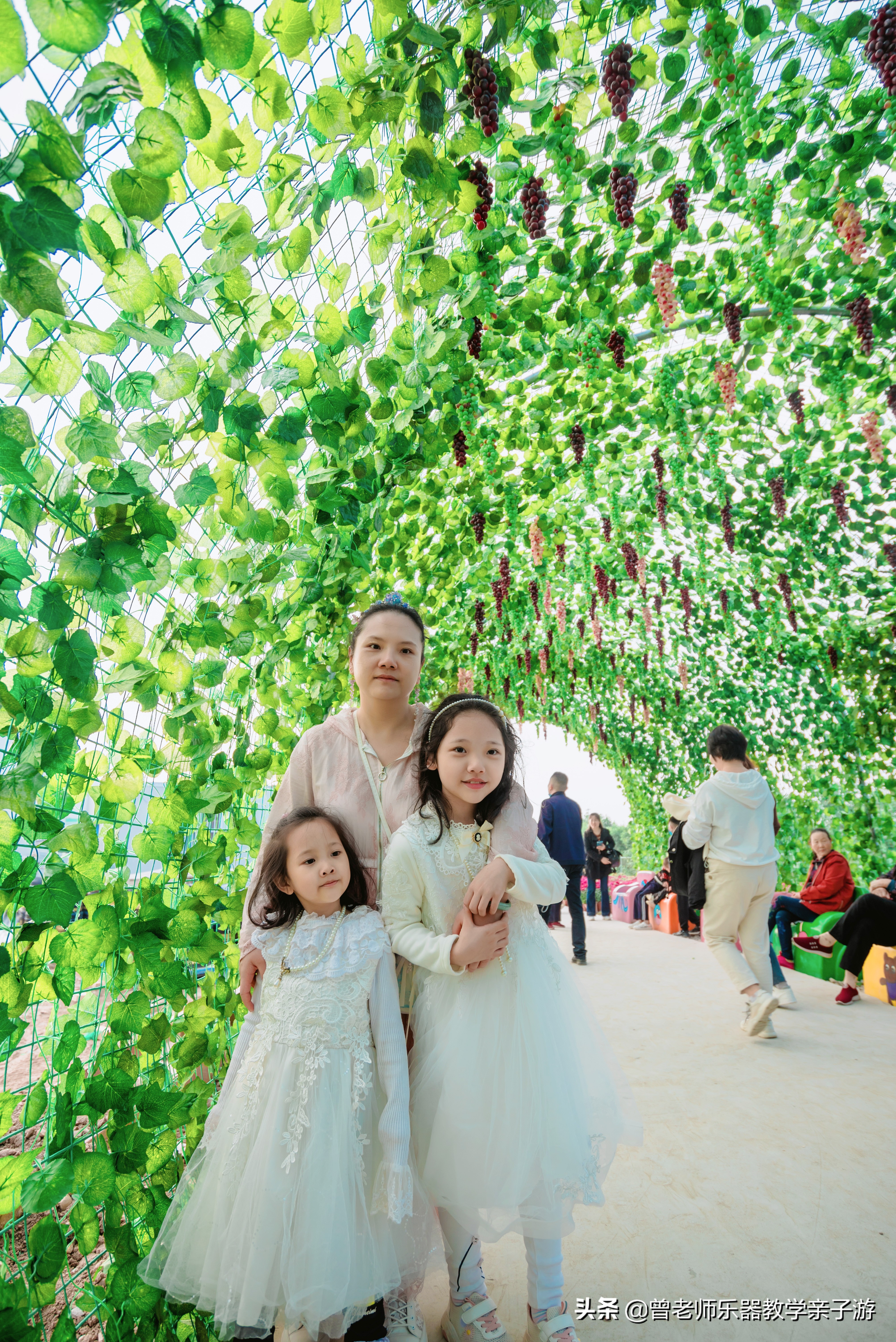 爱菊研学游,爱菊丝路文化菊花园西安