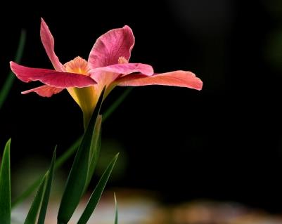 在社会上混得很差该怎么调整,越混越差的人五种心理弱点