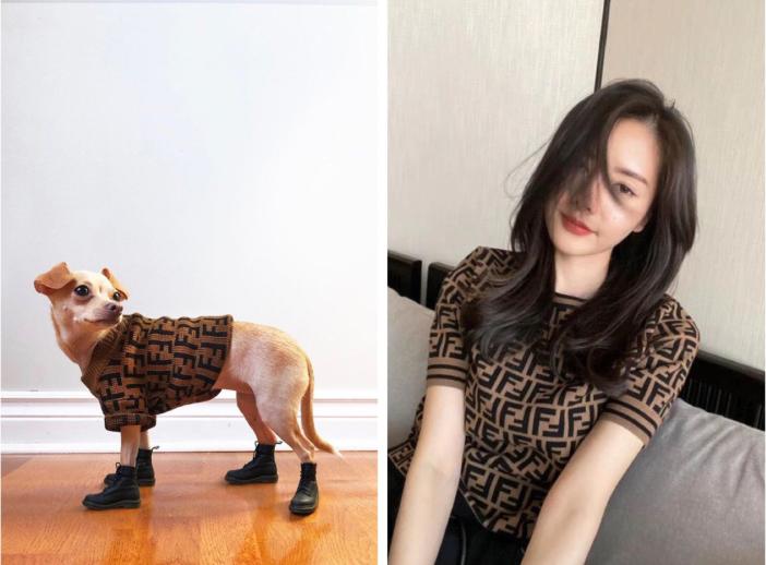 还在自嘲单身狗？快醒一醒！看看汪星人都拥有LV限量款了