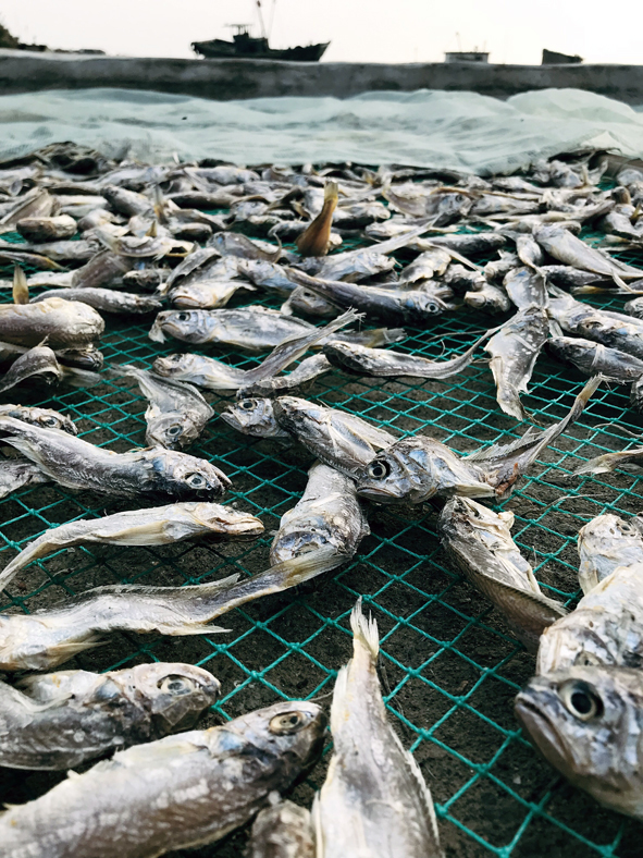琅琊镇胡家山,胡家山