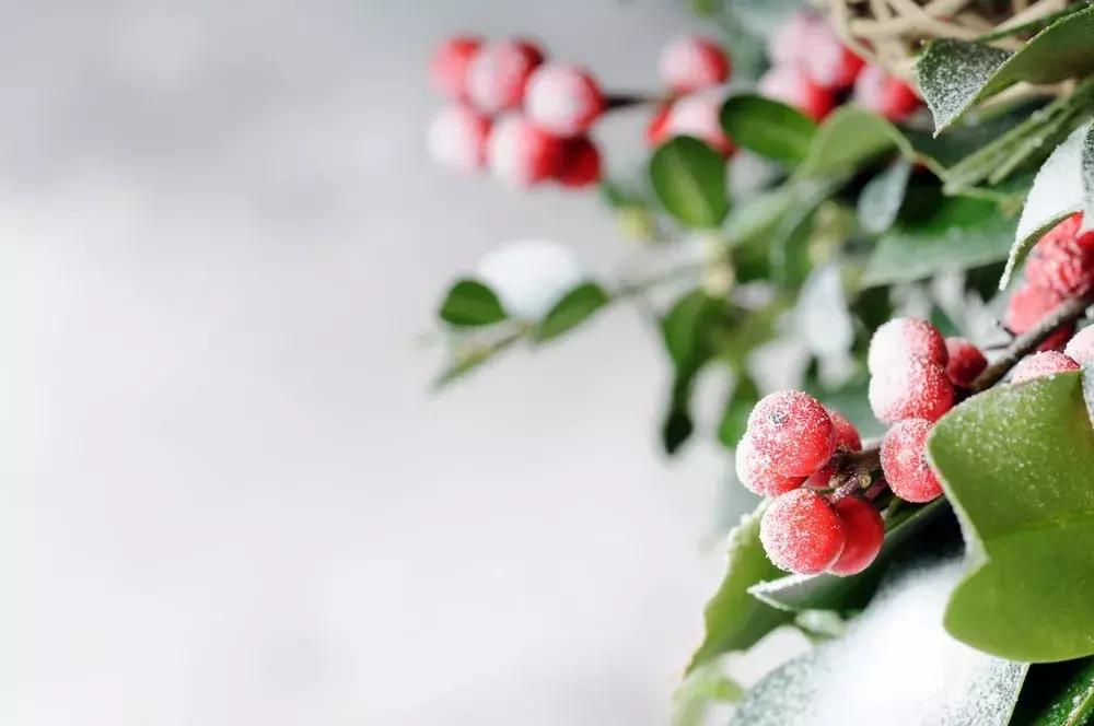 中医四季五脏养生方子,五脏都寒最佳调理方子