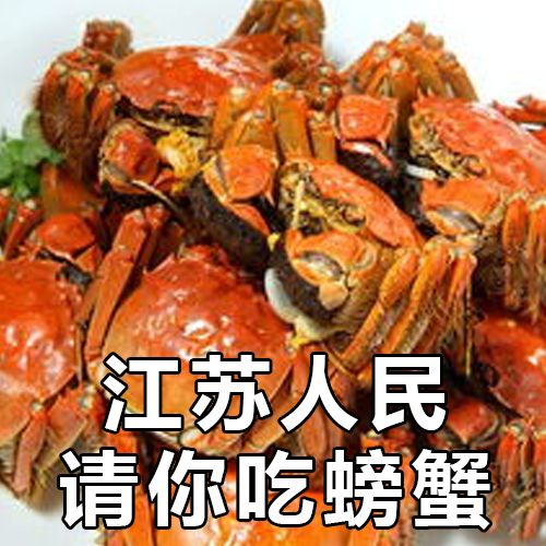 各个地区表情包排名,各省人最爱发的表情包