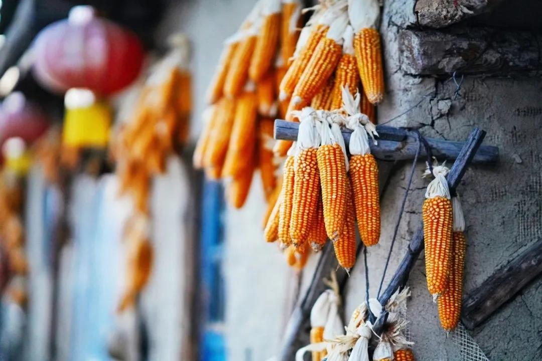 长白山鲁能胜地适合孩子吗,长白山鲁能胜地