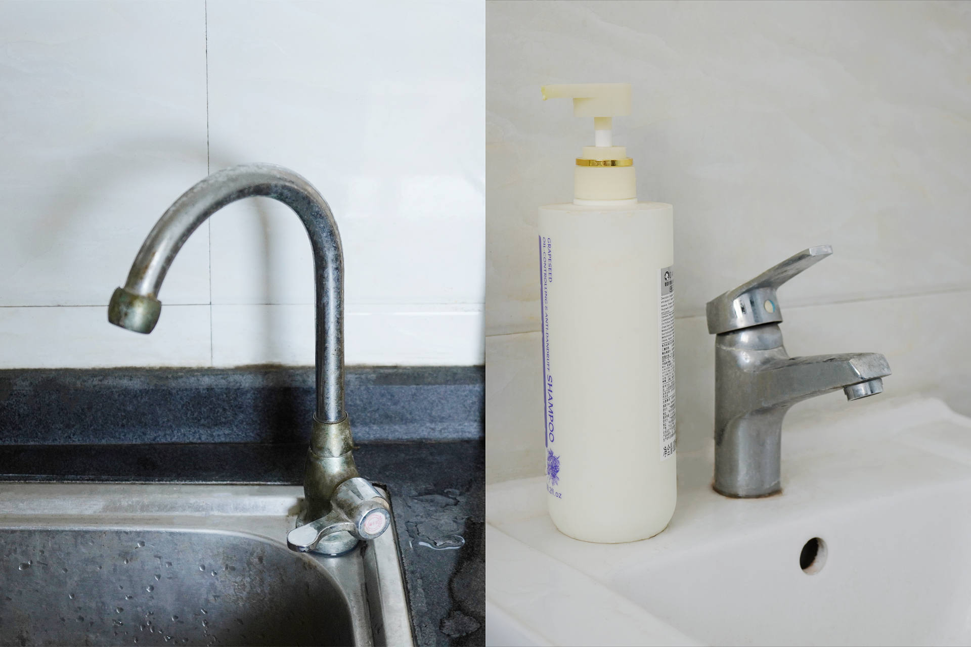 蓝宝小白鲸净饮一体机推荐,德国蓝宝小白鲸净饮机多少钱