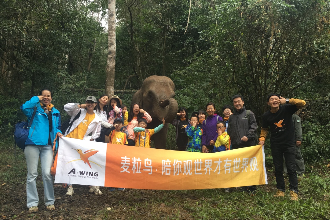 小学问|集合啦!麦粒鸟教你搞对「象」啦!