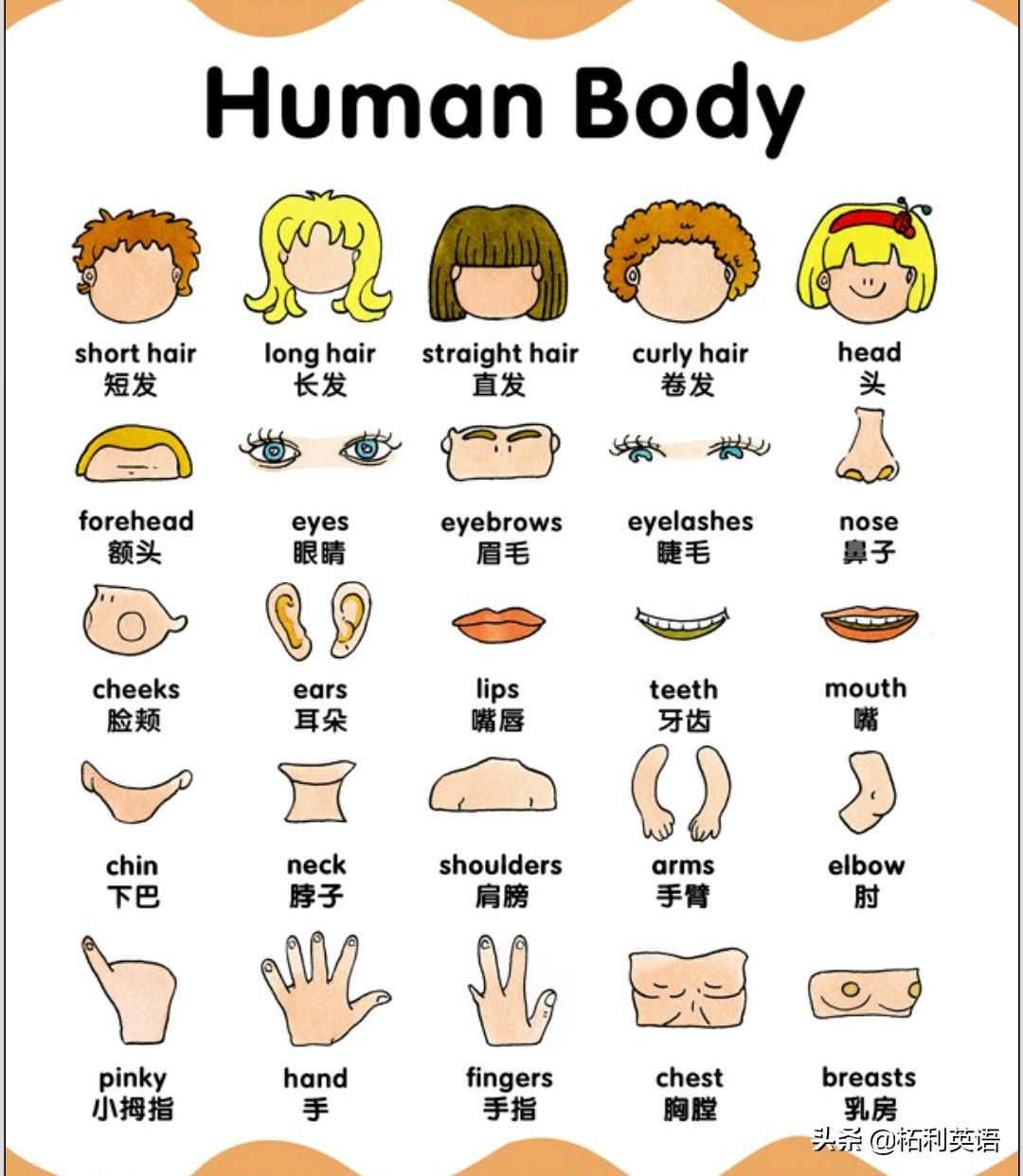 生活中常用的3000个英语单词短语,生活英语单词谐音大全