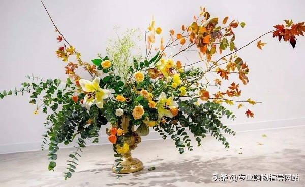 情人节送什么花最好又有寓意,情人节送什么颜色玫瑰花最好