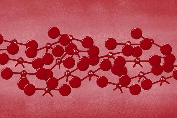 世界血友病日科普动画视频,世界血友病日什么是血友病