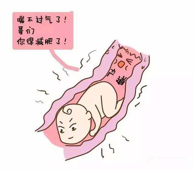 探究分子在不断运动,探究分子间的作用力实验