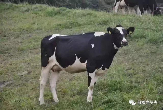 20个日本农场案例,日本最成功的主题农场