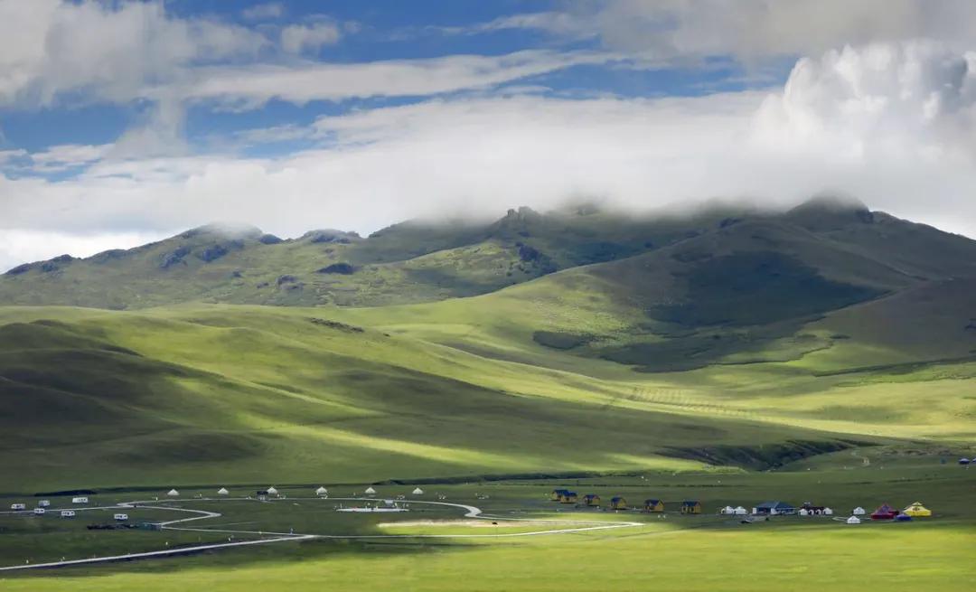 苏炳添,通辽欢迎你!吴智强,快带苏炳添回家