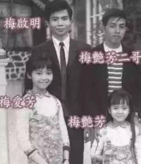 江志强最新视频,江志强欠梅艳芳一部电影