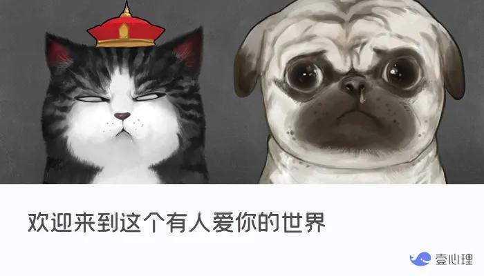 治愈3000万人的不开心，圈粉名人大咖，他从默默无闻到火遍全网