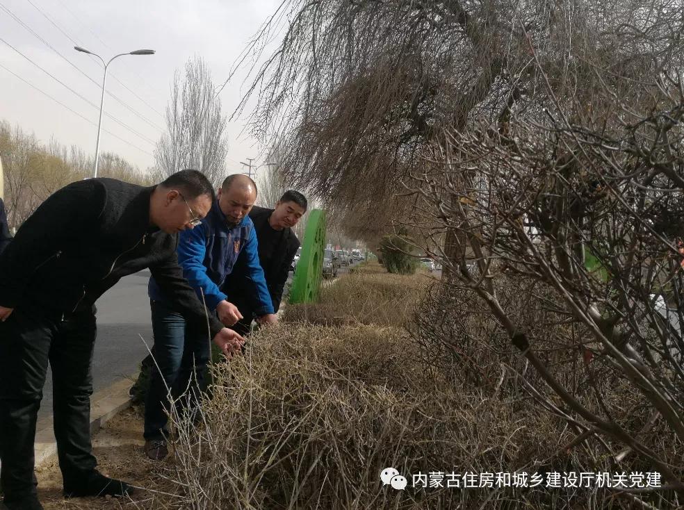 坚守高地心不改血染风采续新篇——通辽市园林局局长金英新先进事迹