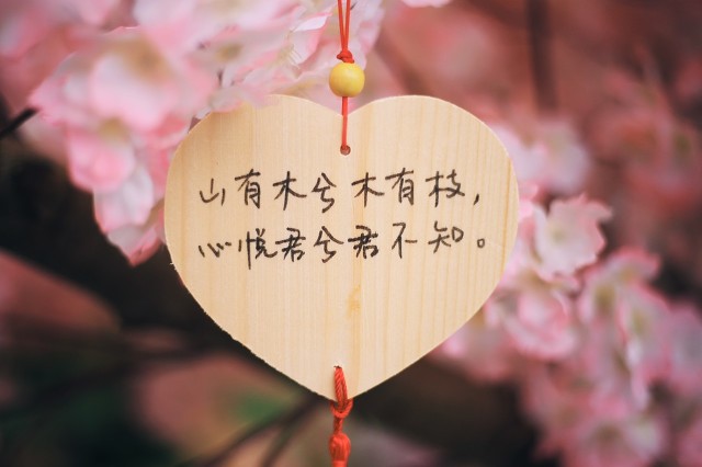 只要和对的人在一起天天是情人节,和懂你的人在一起每天都是情人节