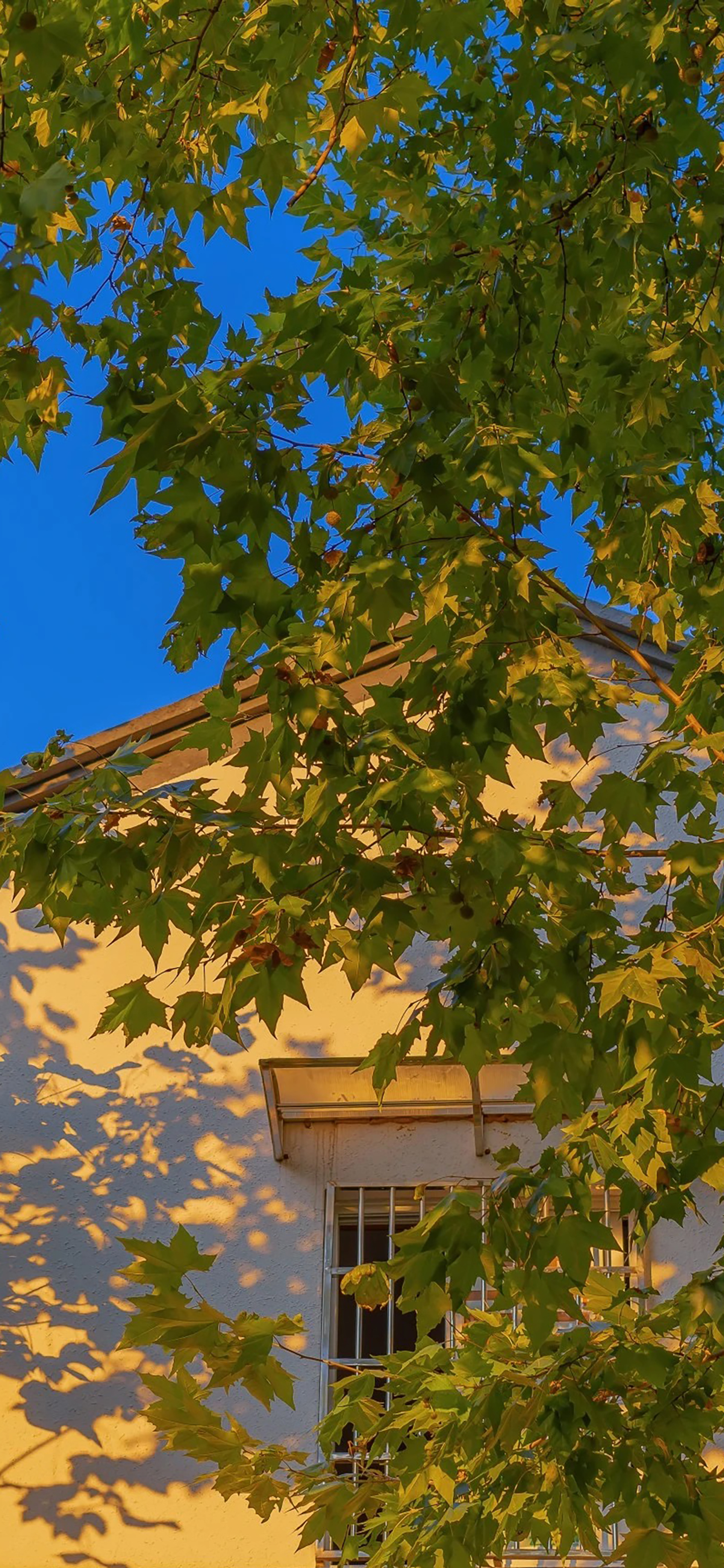 高清风景壁纸｜你静候着秋天的温柔，留我在风景之外