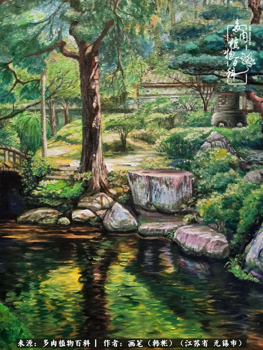 阳台多肉花园简直美翻了,适合男生养的多肉