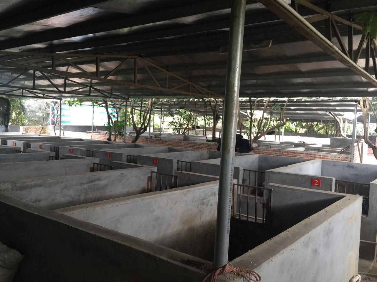 房屋被违法强拆后的救济,房屋被强拆应该怎么处理