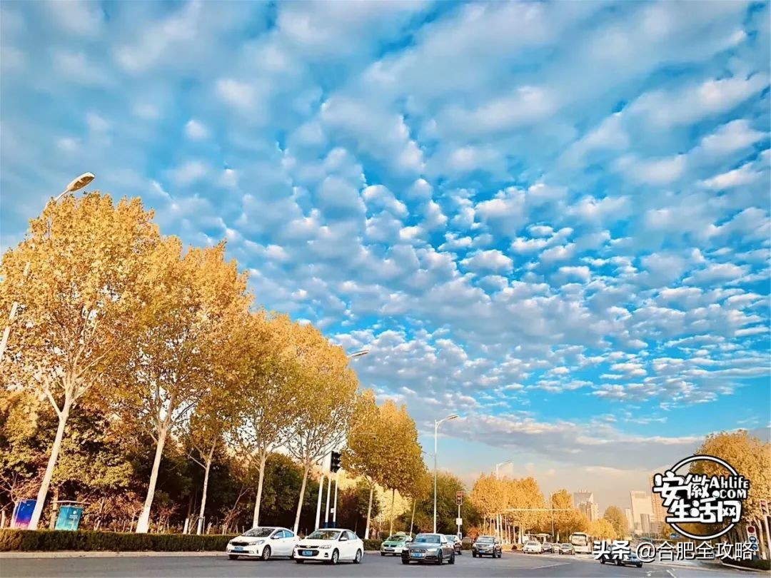 “合肥蓝”频频刷屏朋友圈！背后竟隐藏一个国家级团队...