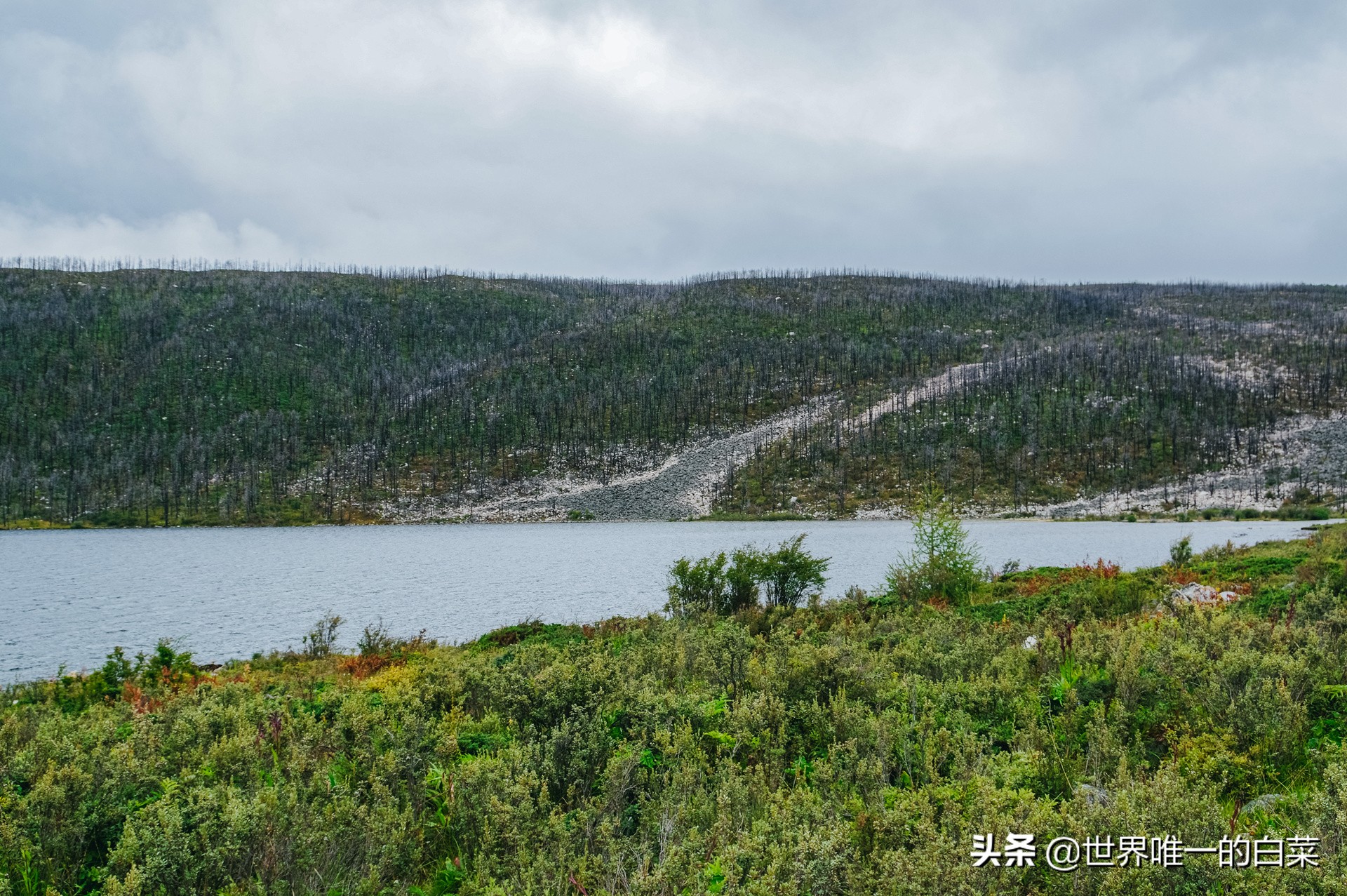 康定情歌川西旅游,318川西康定木格措