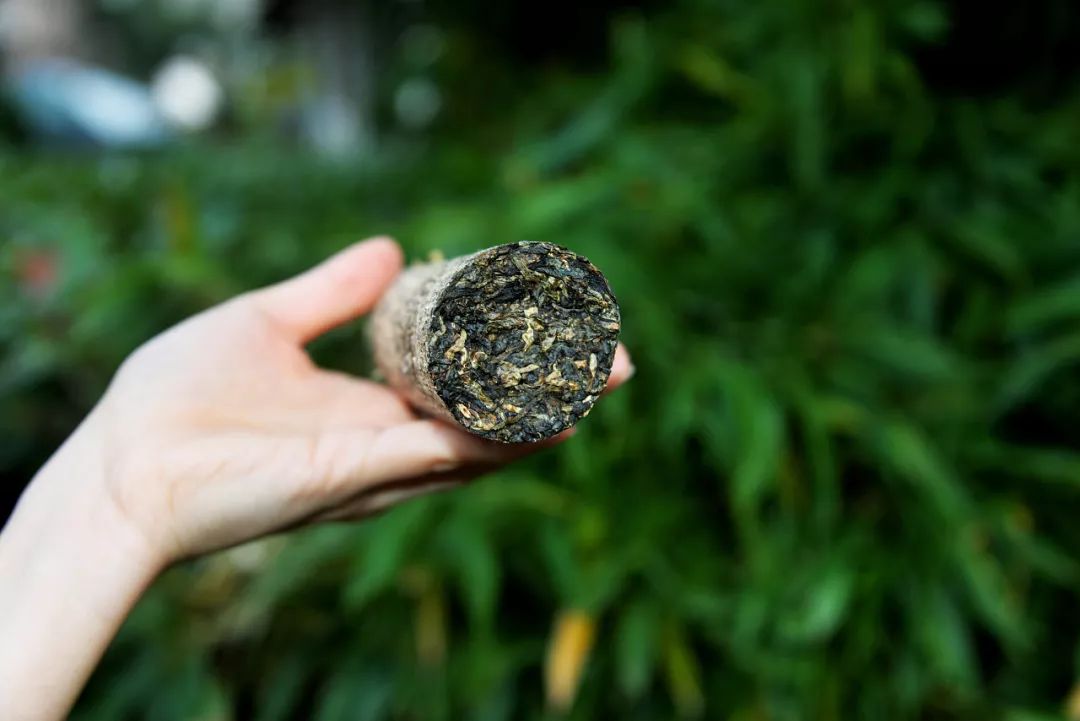 茶｜什么是紧压茶？压成大饼会更好喝吗？