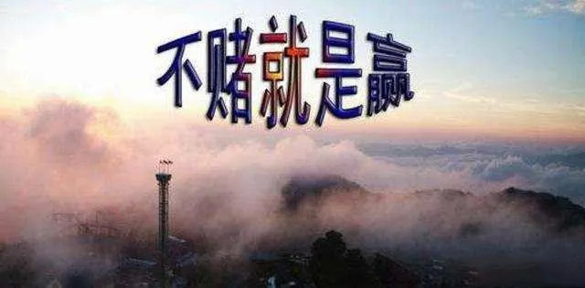 不赌为赢上一句是什么,不赌为赢到底是什么东西呢