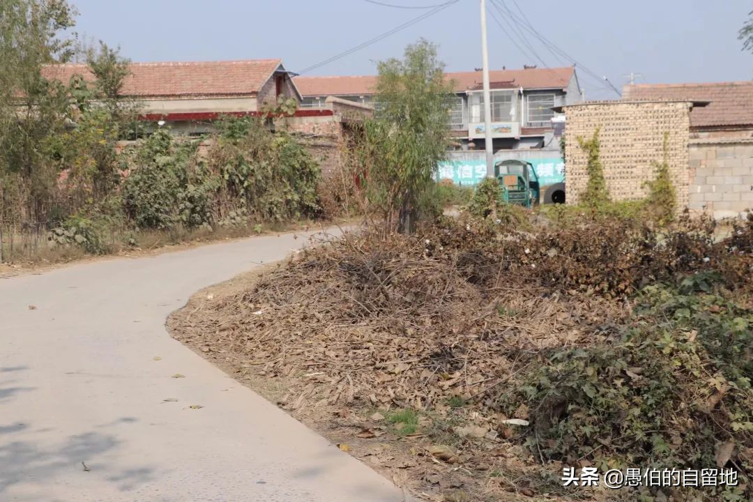 霜降后的早晨农村,霜降以后的果园