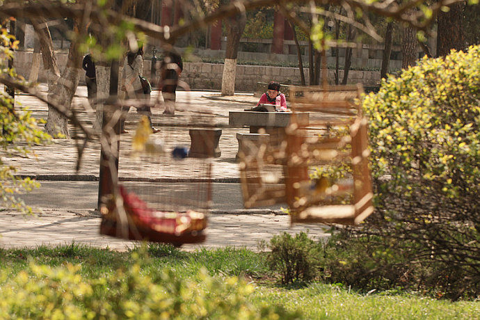 上海到洛杉矶直飞机票,上海直飞纽约机票