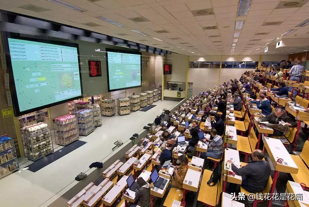 花卉市场购物,亚洲第一花卉交易市场排名