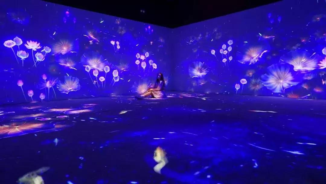 承包你的最美夏天！快来双流这个小普罗旺斯打卡