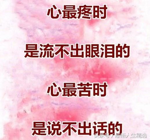 佛说心凉了再也回不去了,佛说心太痛苦了就放下吧