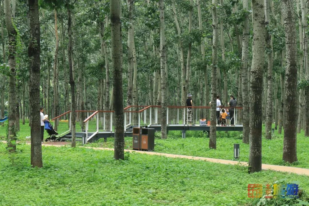 免费！市区就有“小森林”，花海芳香扑鼻！还有美好的祝福送给你