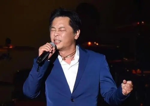 王杰被毒嗓子是真是假,王杰被毒哑之谜