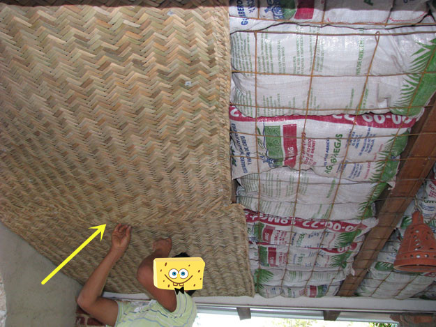 打米剩下的稻壳可以用来种东西吗,打稻剩的麸皮可以种花吗