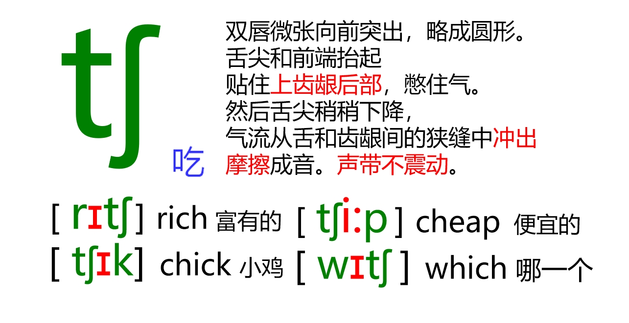 48张国际音标卡片大号,音标48个卡片