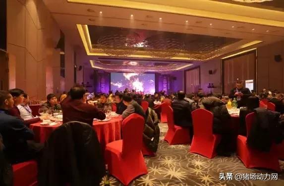 加农正和健力源,加农正和产品