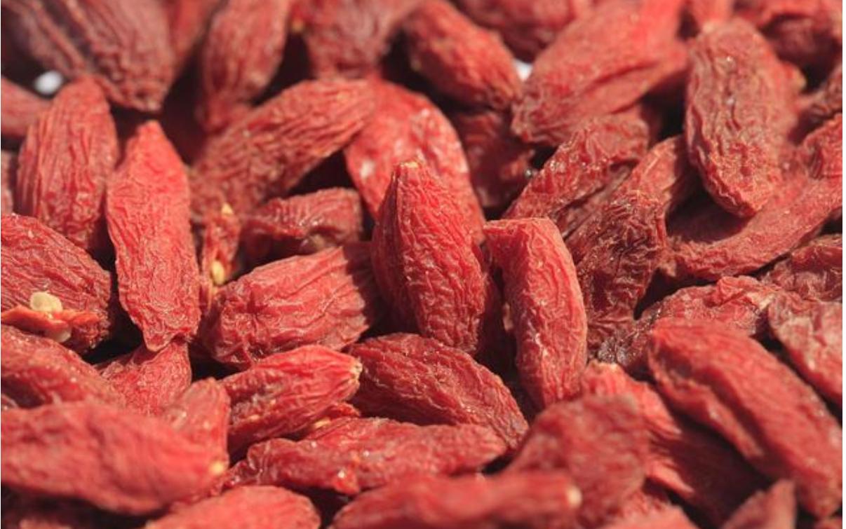 枸杞的种植与生长条件,枸杞生长全过程