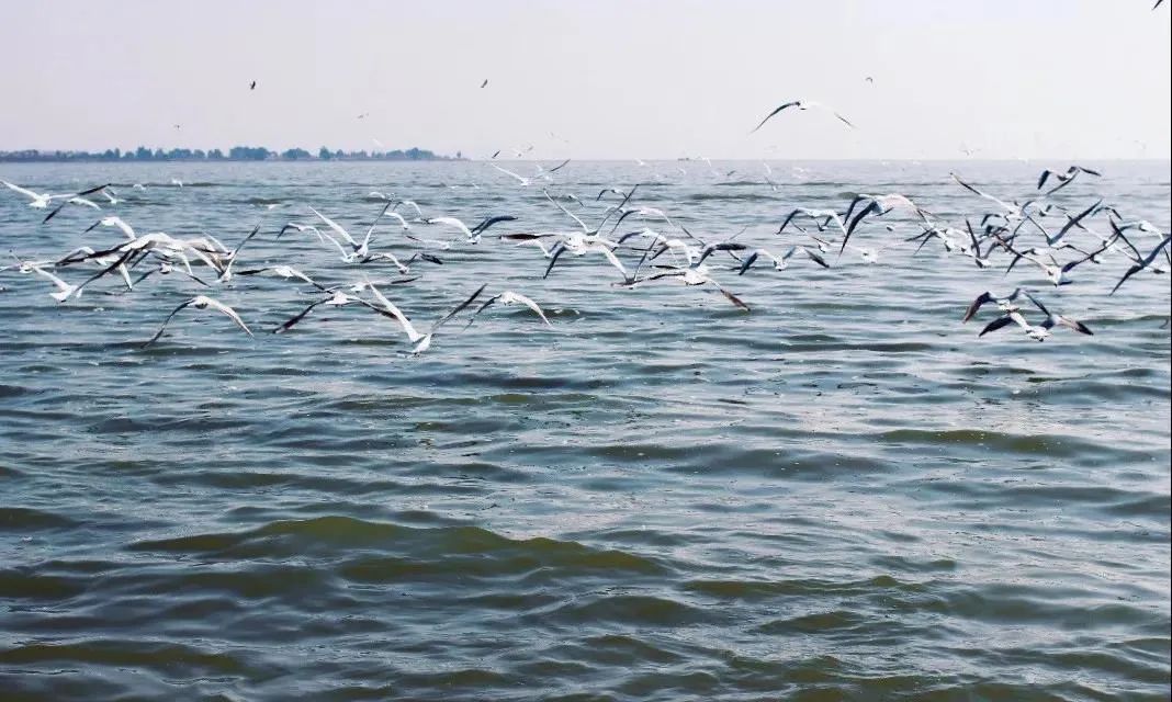 最近昆明有没有最值得去玩景点,推荐昆明最适合去玩的地方