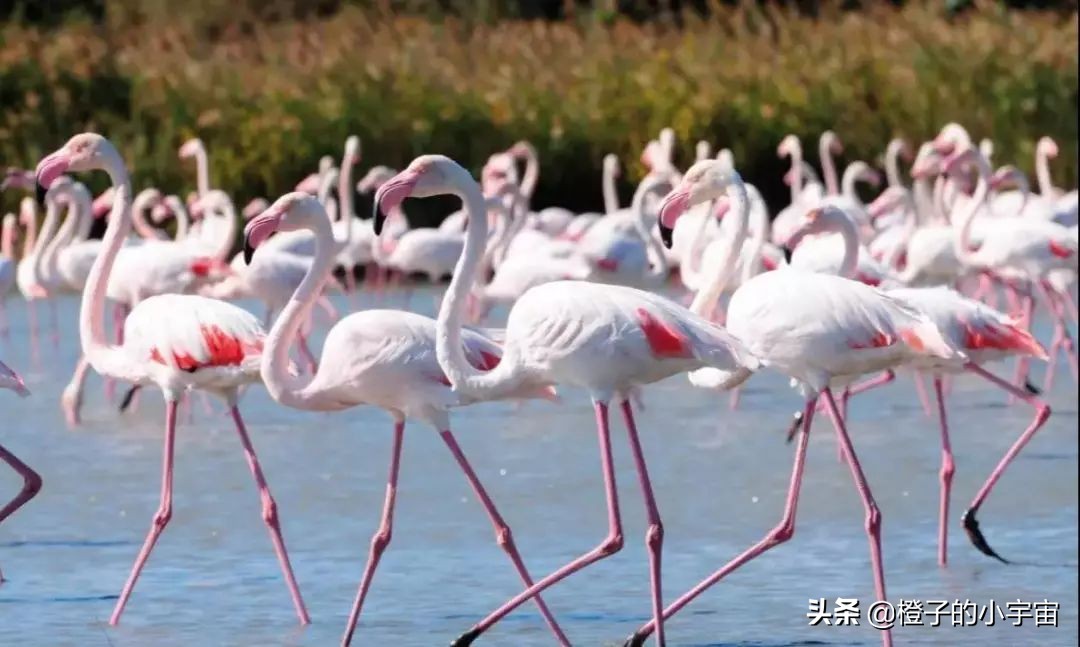 日不落帝国的遗产，塞浦路斯（Cyprus）