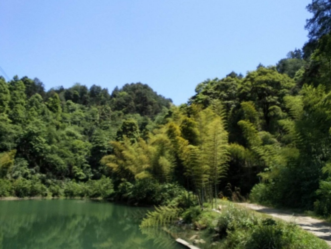 重庆市永川区茶山竹海派出所,重庆市永川区茶山竹海的海拔