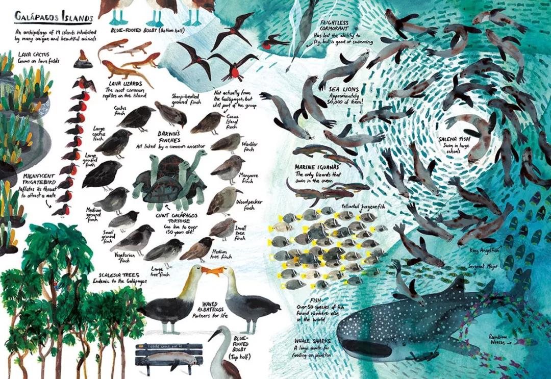 童真稚趣,稚拙童趣天真