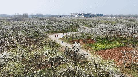 羊毛衫显示100羊毛真的吗,标注100%羊毛一定是真的吗