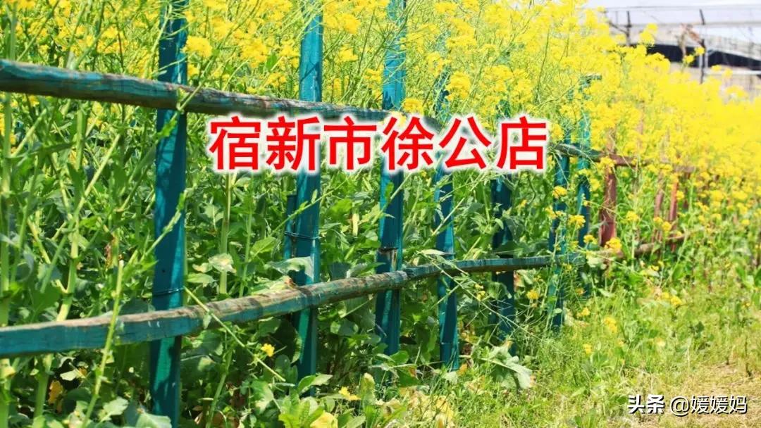 四年级下册第1课古诗三首练习,四年级下册古诗词三首的写作背景