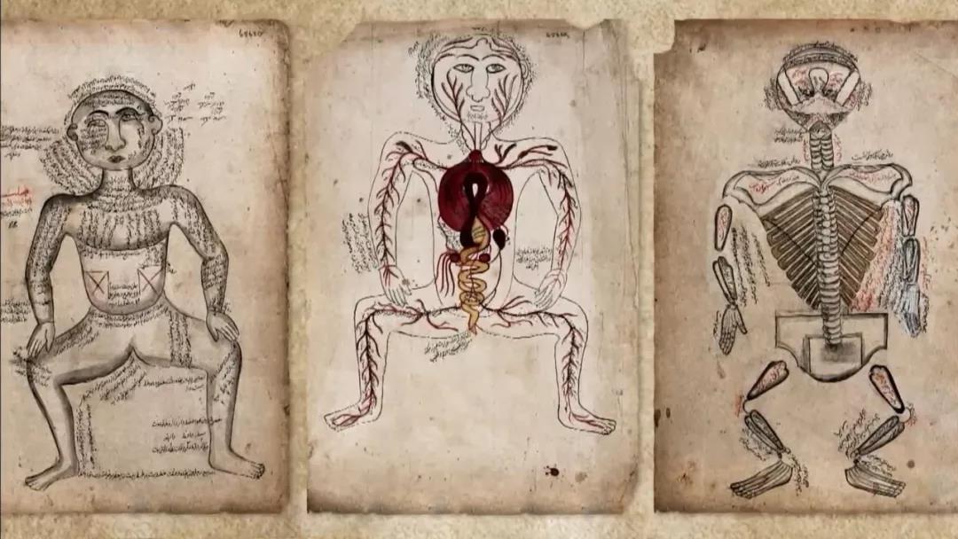 鍙や唬鍖诲鎵嬫湳,涓浗鍙や唬鍖诲鎵嬫湳