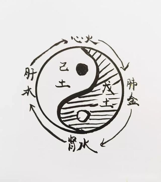 被后人视为伤寒论注解第一人,被后世尊为药圣的是哪位医学家